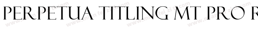 Perpetua Titling MT Pro Regular字体转换